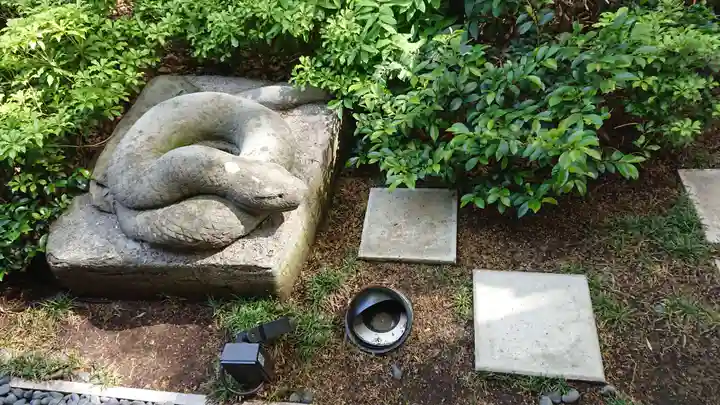 増上寺塔頭 三縁山 宝珠院の狛犬