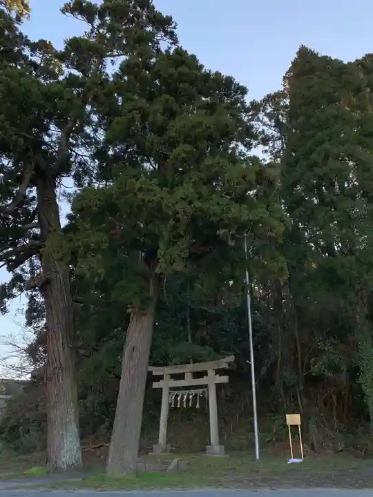 坂本神社の鳥居