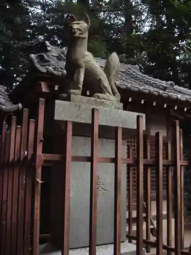 北野天神社の狛犬