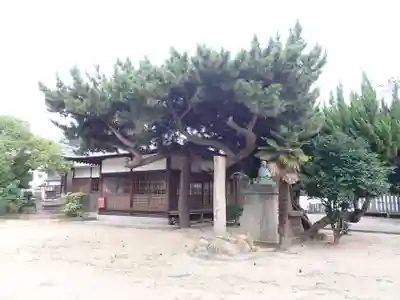 住吉神社の本殿・本堂
