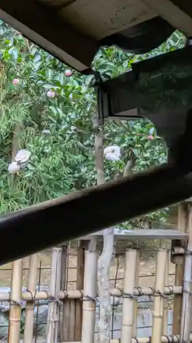 西源院(京都府)