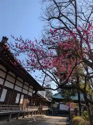 妙法寺(東京都)