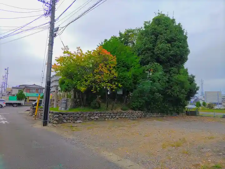 愛宕社(勝川町)の自然