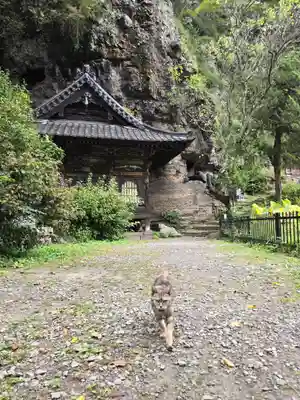 釋尊寺(長野県)