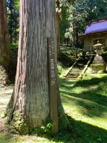 鹿島神社の自然
