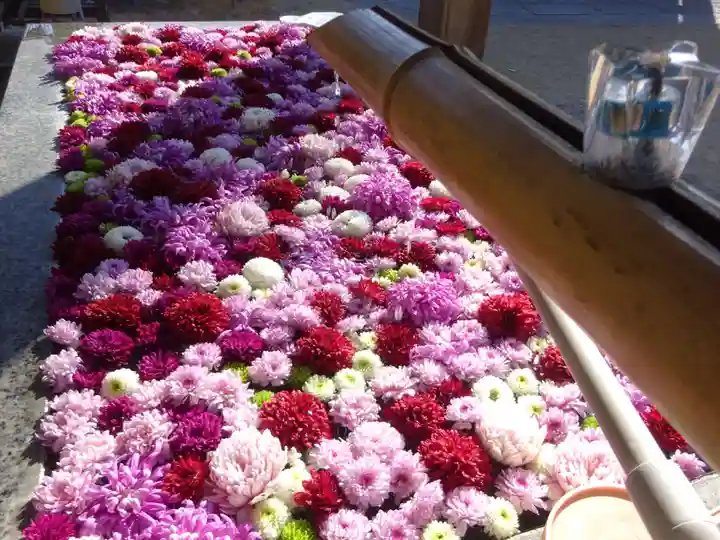 横浜 西方寺の手水舎