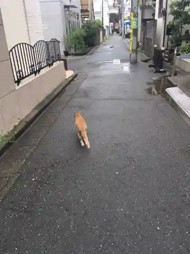 最勝寺教学院の動物