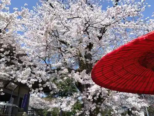 妙経寺(福井県)