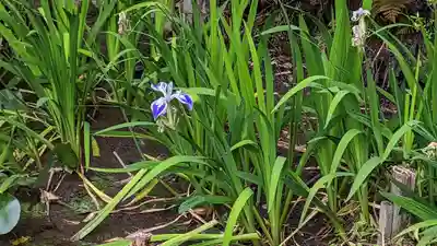 吉田神社(京都府)