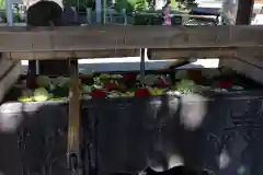 鳩森八幡神社の手水