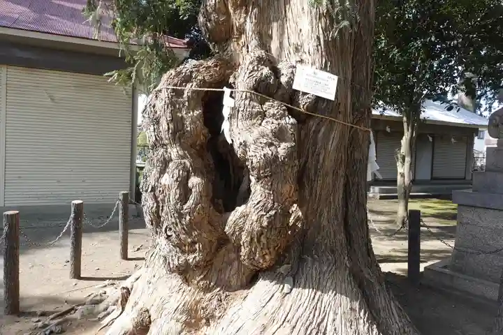 飯泉八幡神社(神奈川県)