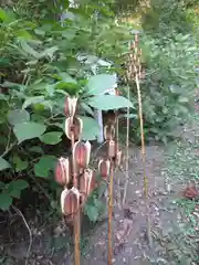 石都々古和気神社の自然