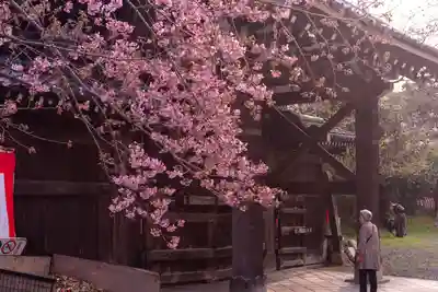 平野神社(京都府)