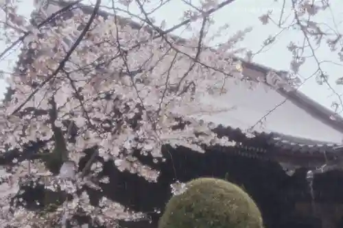 寛永寺(根本中堂)(東京都)