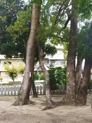 大利神社(大阪府)