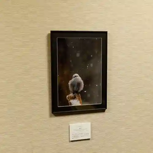 帯廣神社のその他建物