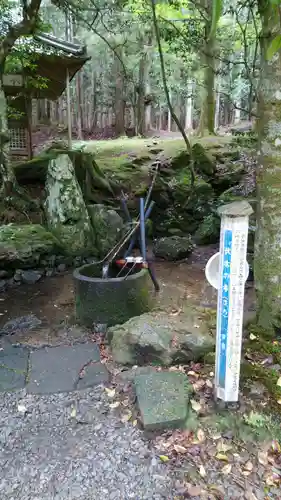 若狭彦神社（上社）の手水舎
