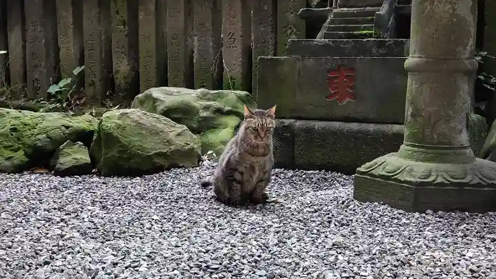 小野照崎神社の動物