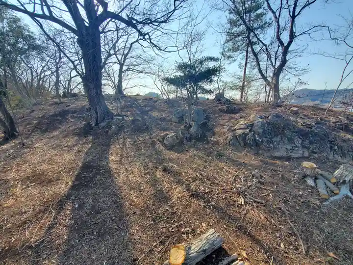 天神社(栃木県)