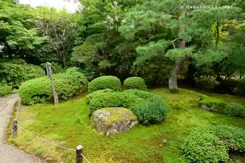 青蓮院門跡の庭園