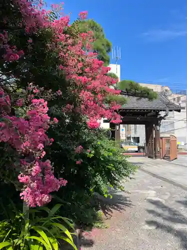 感通寺のその他建物