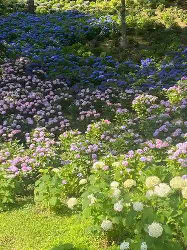 秋葉總本殿可睡斎(静岡県)