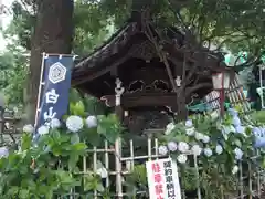 白山神社の建物その他