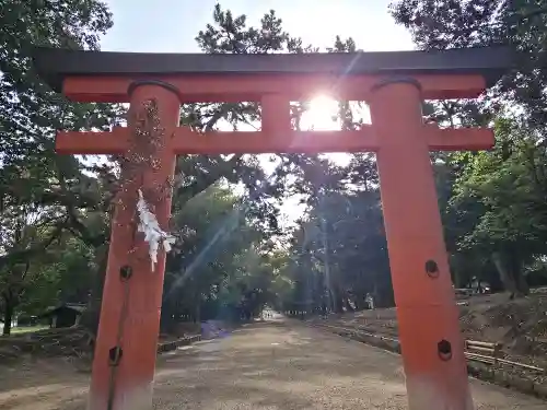 春日大社(奈良県)