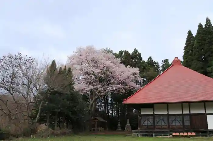 観音寺の本殿