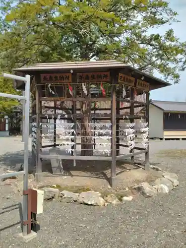 當麻神社のおみくじ