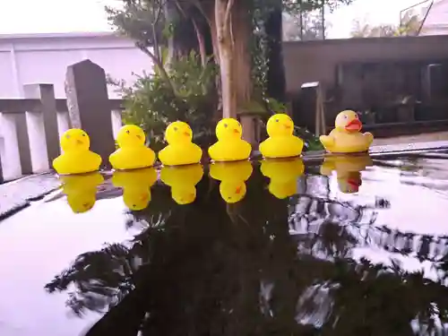 柏諏訪神社の手水舎