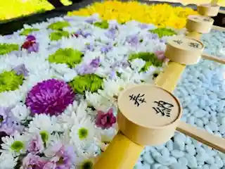 土津神社｜こどもと出世の神さま(福島県)