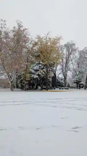 新琴似神社(北海道)