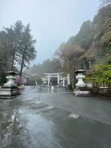 三峯神社(埼玉県)