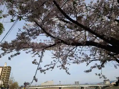 岐阜護國神社(岐阜県)
