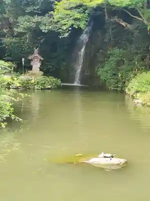 出雲大社北島国造館 出雲教(島根県)