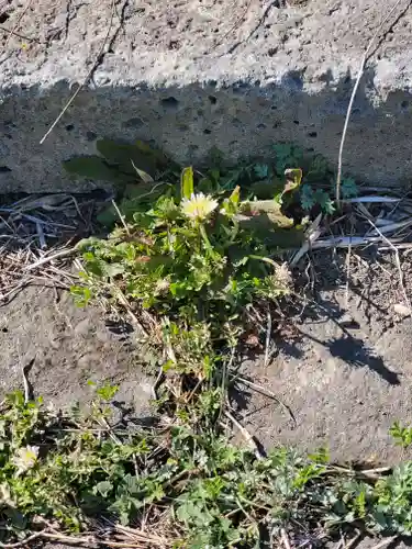 浅間神社（福居町）(栃木県)