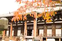 くろ谷 金戒光明寺の本殿・本堂