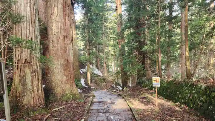 羽黒山五重塔(出羽三山神社)(山形県)