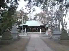 下高井戸八幡神社（下高井戸浜田山八幡神社）の本殿