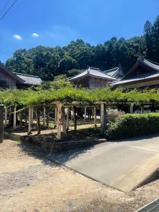 藤井寺(徳島県)