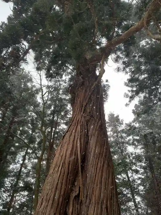 鎮守府八幡宮(岩手県)
