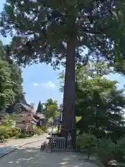 観音正寺(滋賀県)