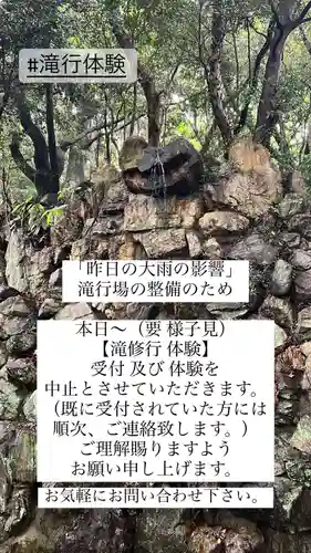 五井山 妙善院の体験その他