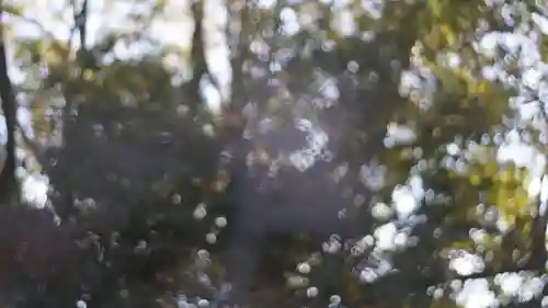 廬山寺（廬山天台講寺）(京都府)