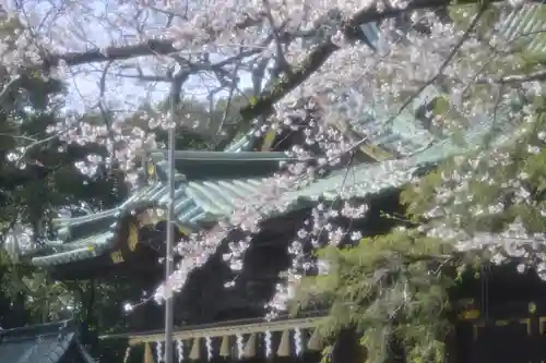 三嶋大社(静岡県)