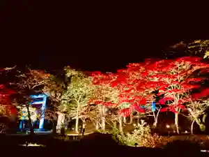 土津神社|こどもと出世の神さまの自然(2022年10月30日(日) 17時59分44秒投稿)
