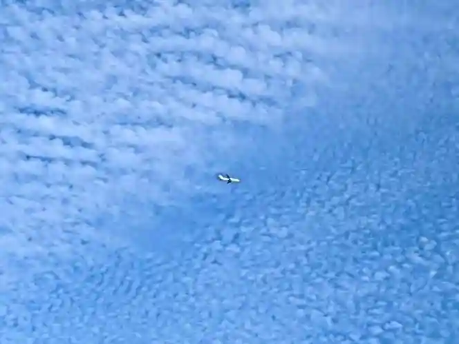 厳島神社(千葉県)