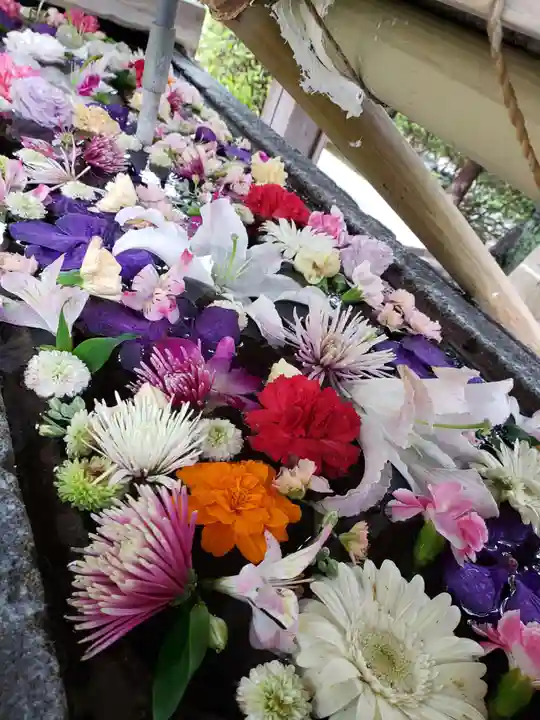 鳩森八幡神社の手水舎