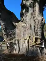 月瀬神社(長野県)